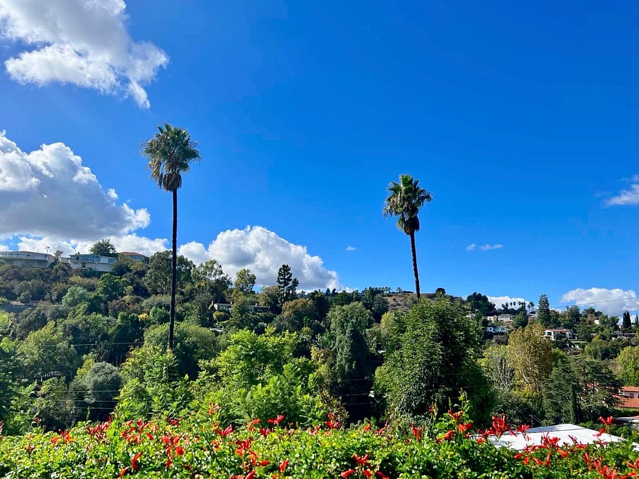View from Patio