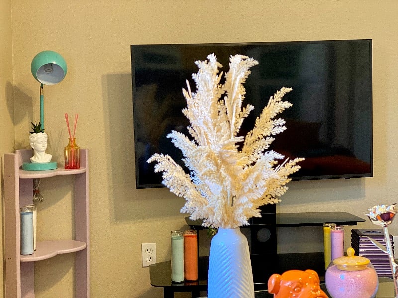 Living Room 55in smart tv