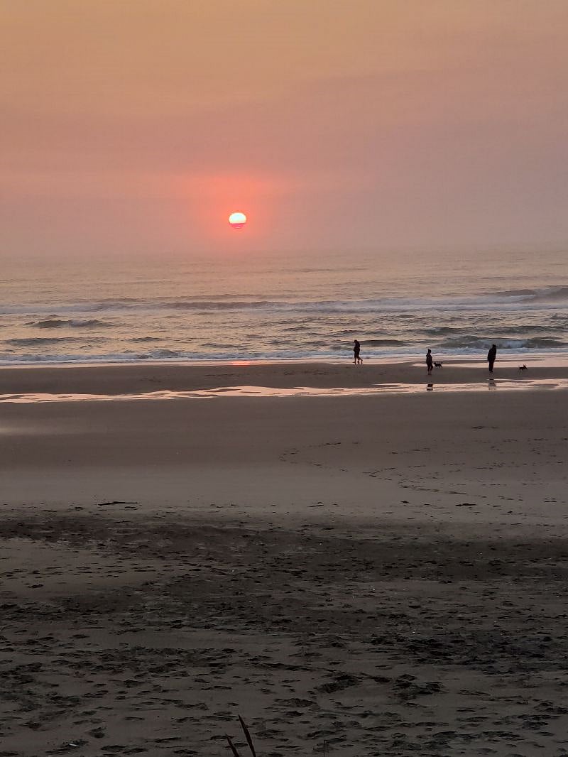 Big Stump Beach is never crowded.