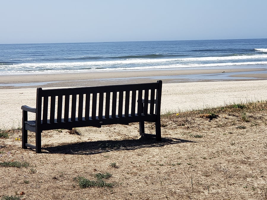 Polywood Bench in open viewing area overlooking Big Stump Beach.