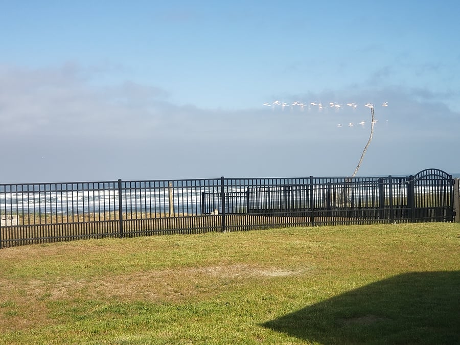 Step out the kitchen slider or living room or master bedroom dutch doors to the deck and large backyard fully fenced for 3 Dogs MAX. Any size and any breed.
