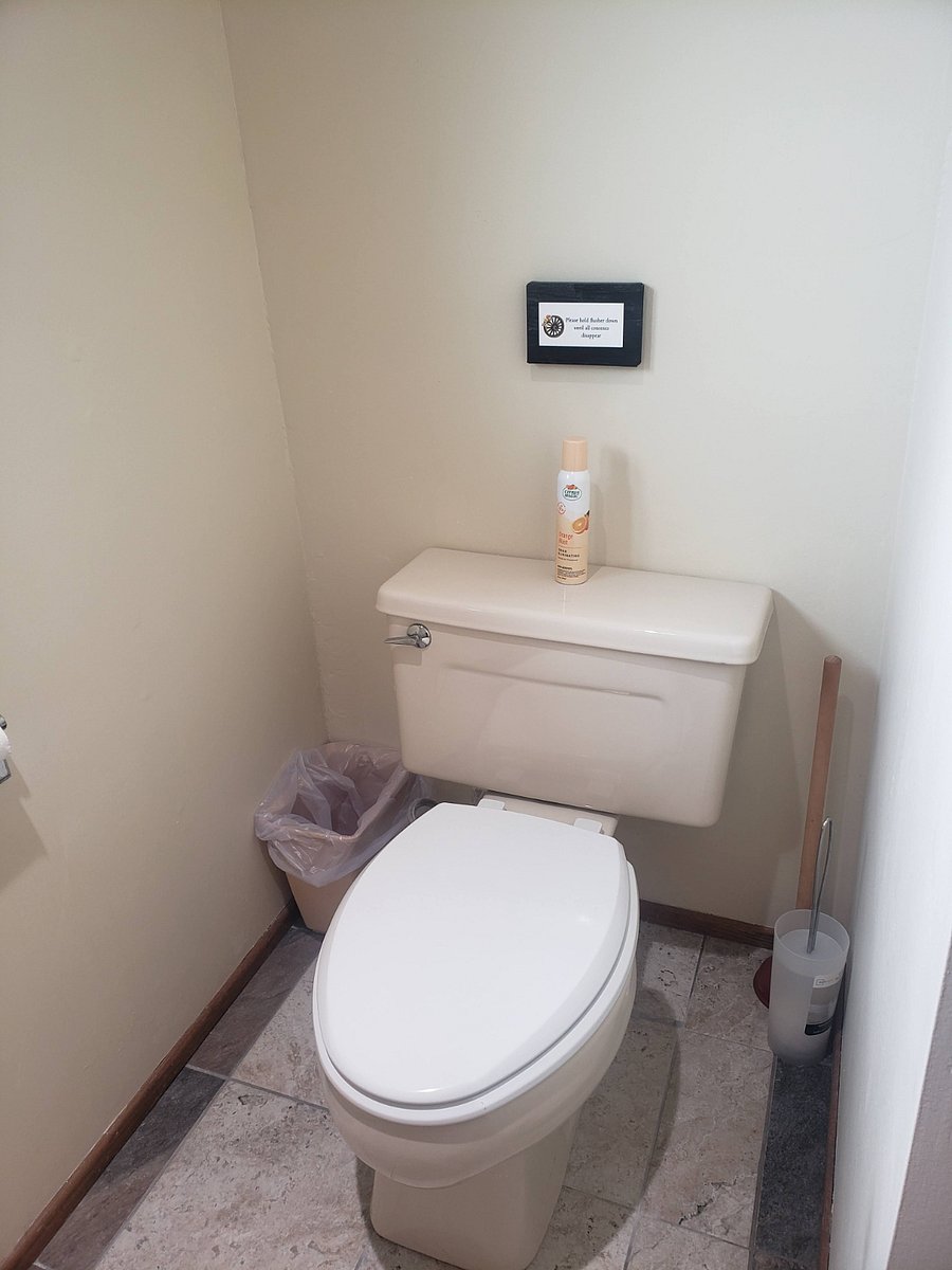 Master bath toilet.