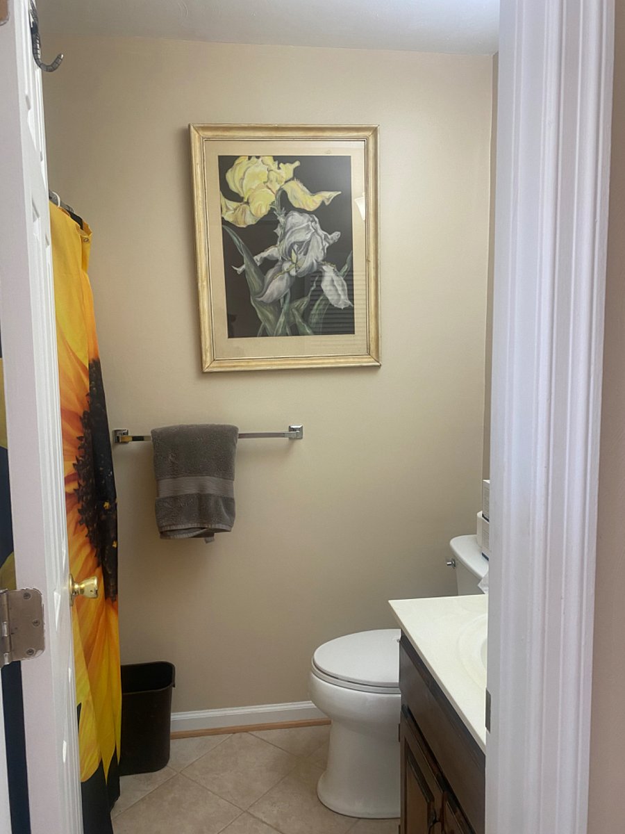 Furnished Finder property 567022_1 photo 7