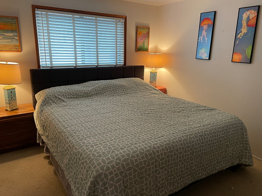 Master bedroom (king bed)