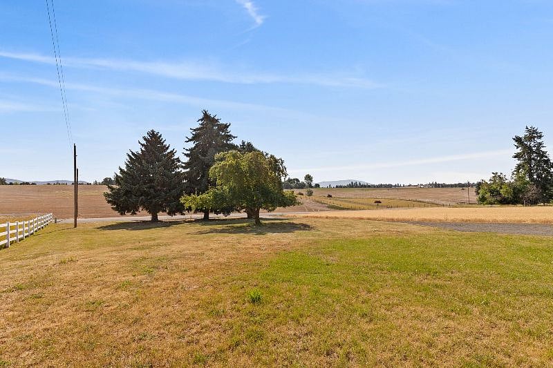 Front lawn and driveway.