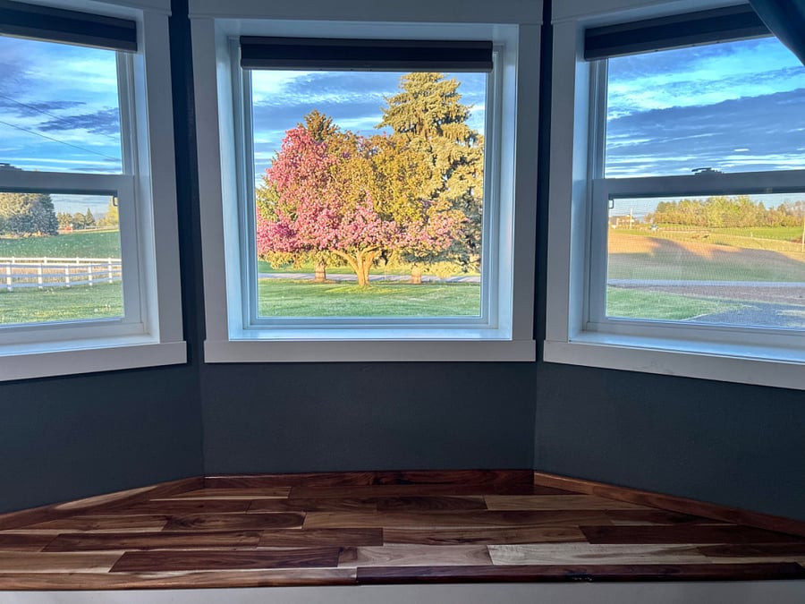 View from bay window in studio.