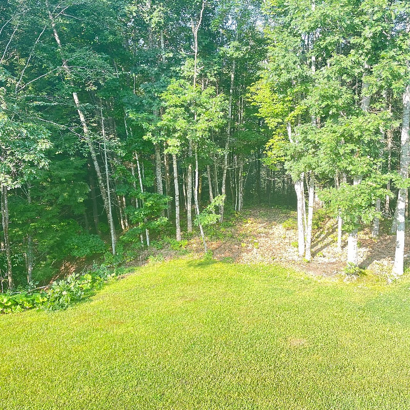 Furnished Finder property 567198_1 photo 15