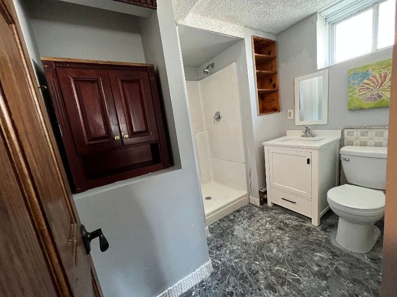 Lower level bathroom with shower