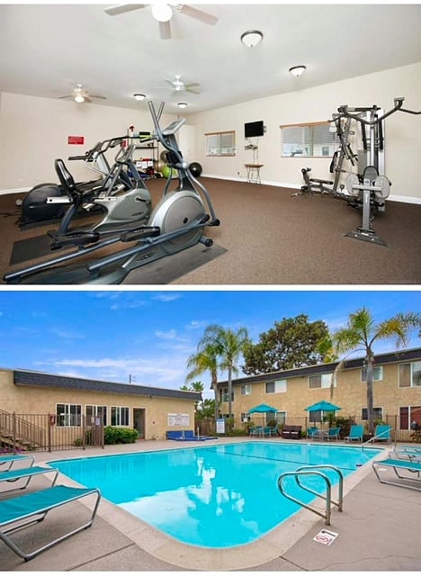 Furnished Finder property 567803_1 photo 20