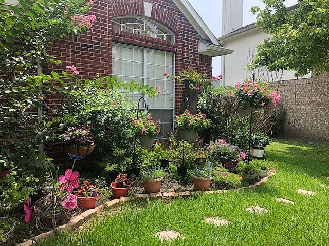 Front yard