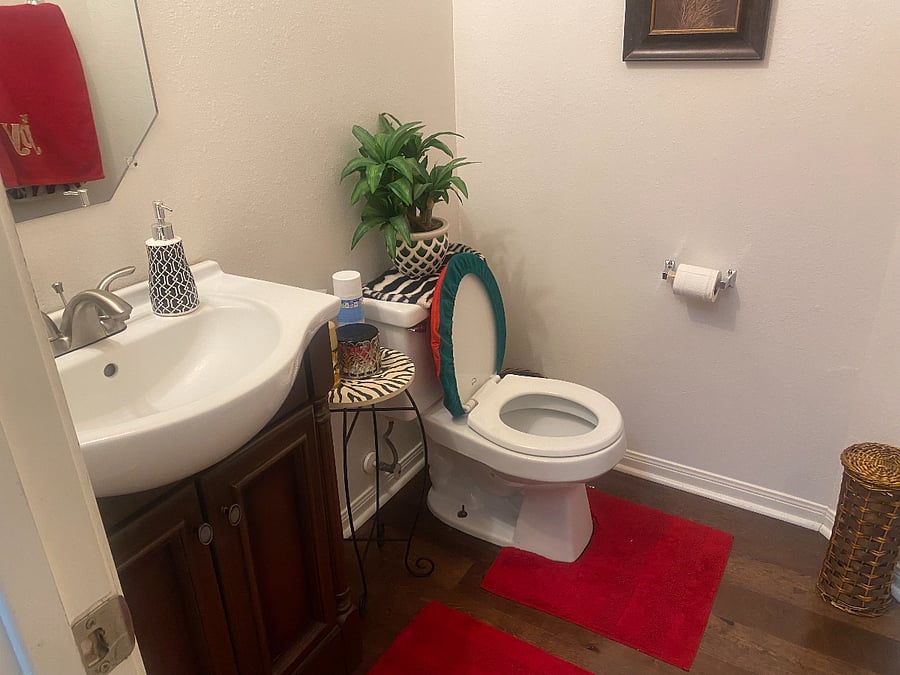 Downstairs Powder Room