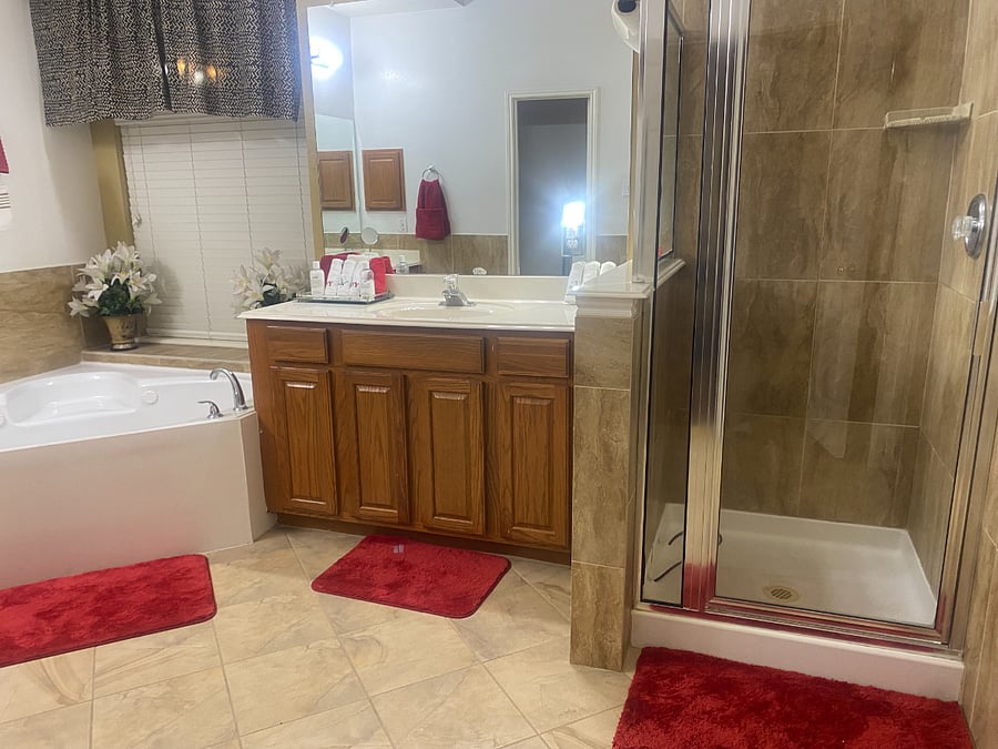 Downstairs Master Bathroom