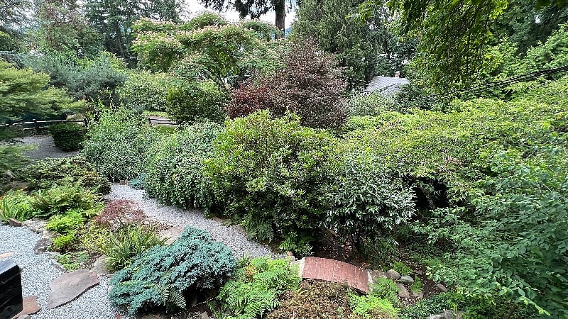 Beautiful mature private fenced garden. You can view it and lake views from the house and the deck