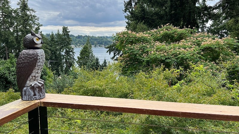 View from deck