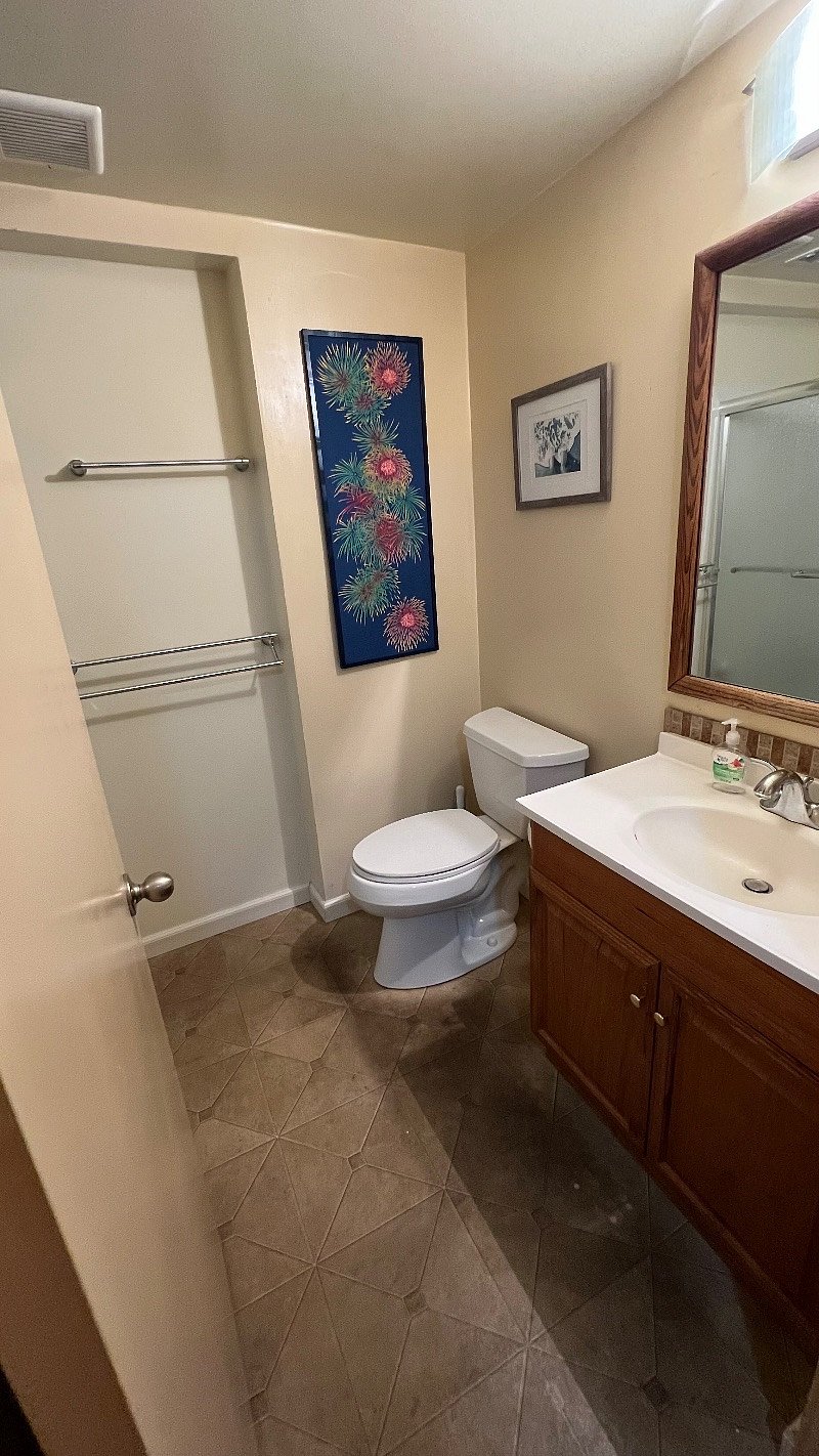 Downstairs bathroom, sink/toilet/shower/bath