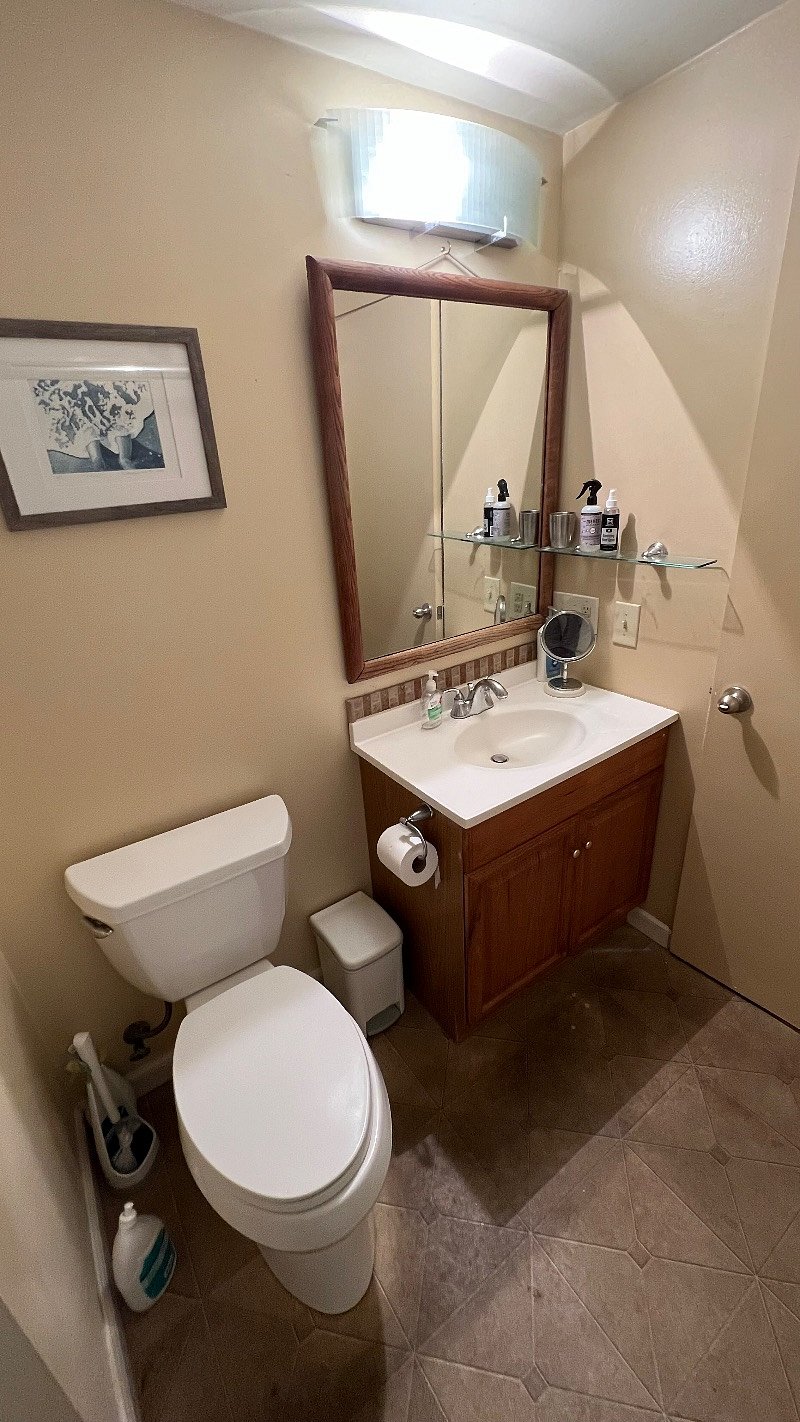 Downstairs bathroom, sink/toilet/shower/bath