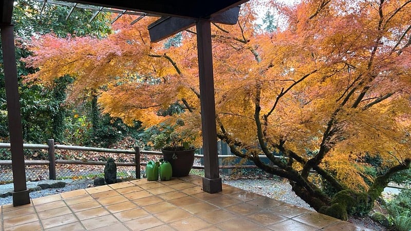 Garden view from lower deck