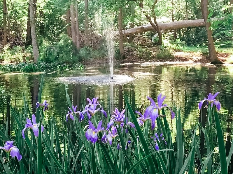 Beautiful pond and fountains.