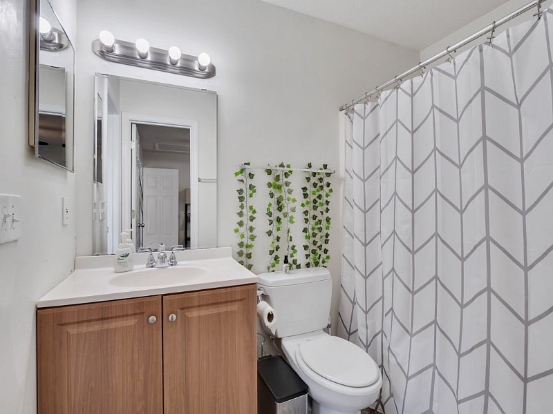 Furnished Finder property 568206_1 photo 19