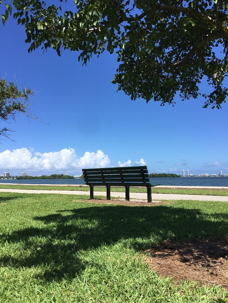 Baywood Park, 5 blocks walking distance east of the house.