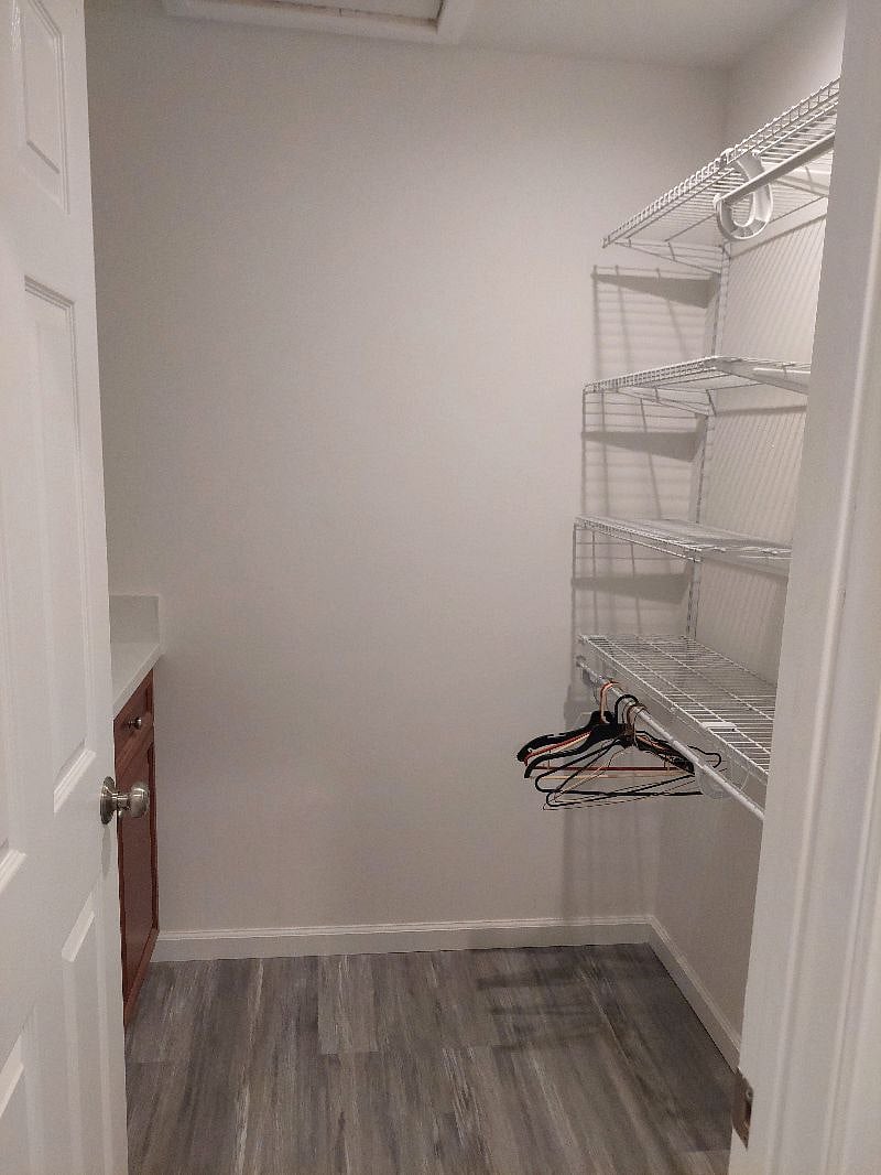 master #2 walk-in closet