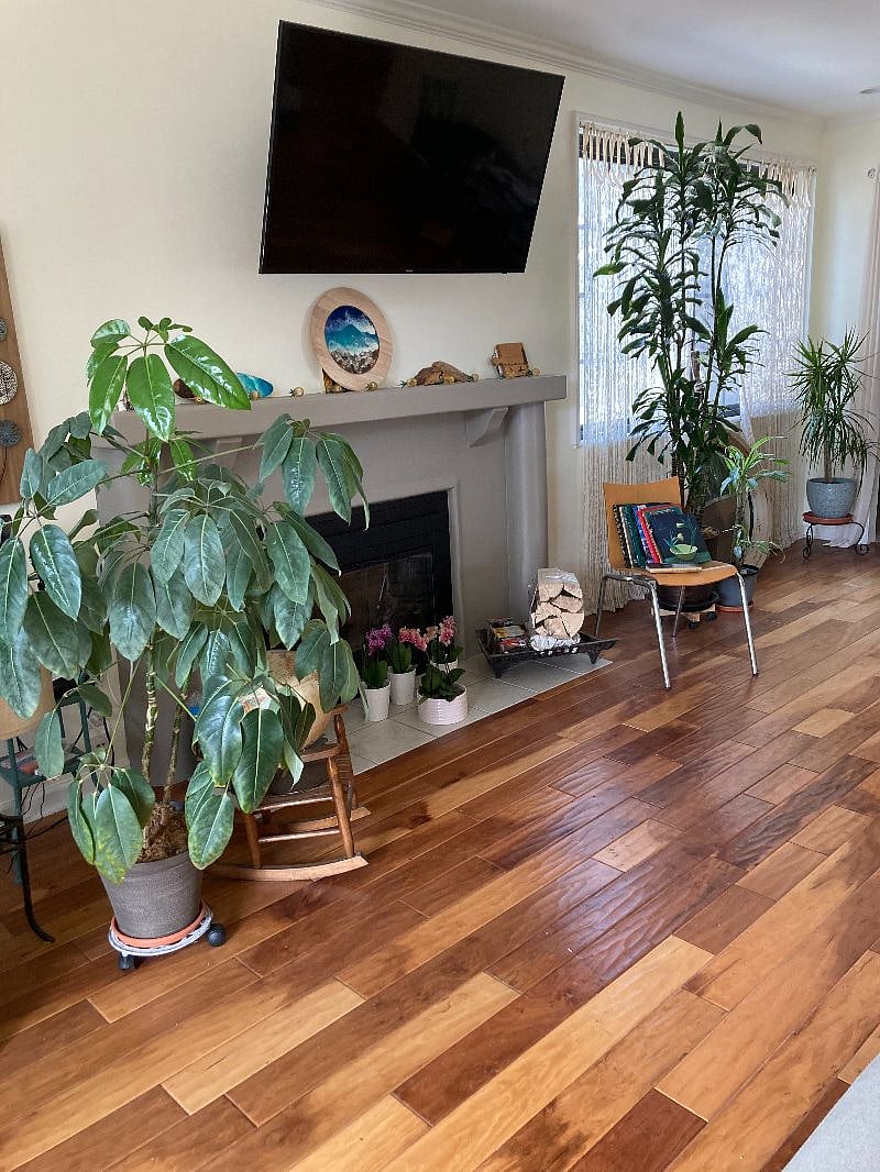 living area wood burning fireplace with gas starter