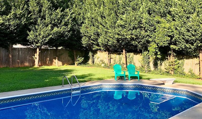 Pool Area with lawn great for soccer or frisbee. The big trees provide a lot of privacy. The pool area is shared with the Shalom Suite (our other property we rent)