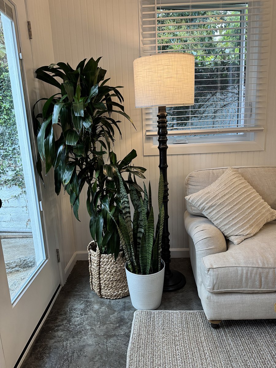 Furnished Finder property 568858_1 photo 6