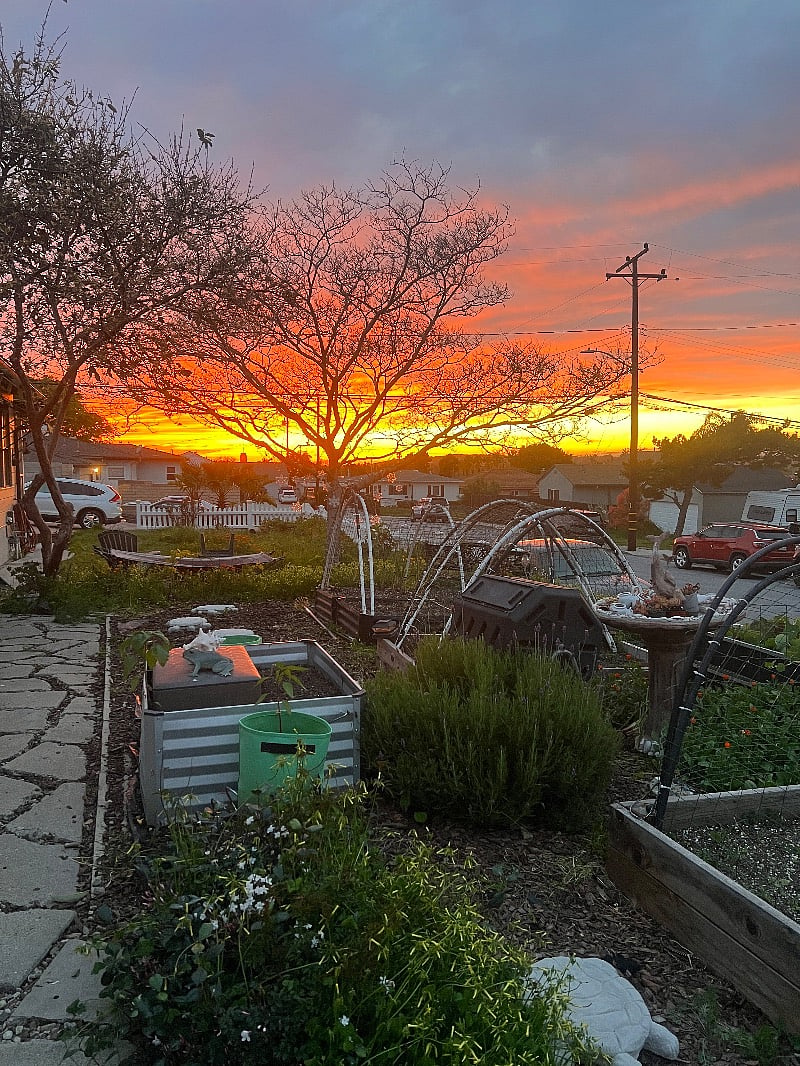Beautiful sunset from our porch.