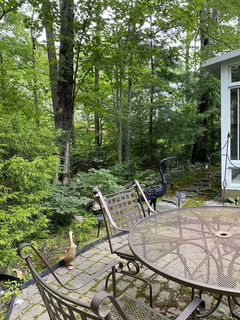 Furnished Finder property 569070_1 photo 15