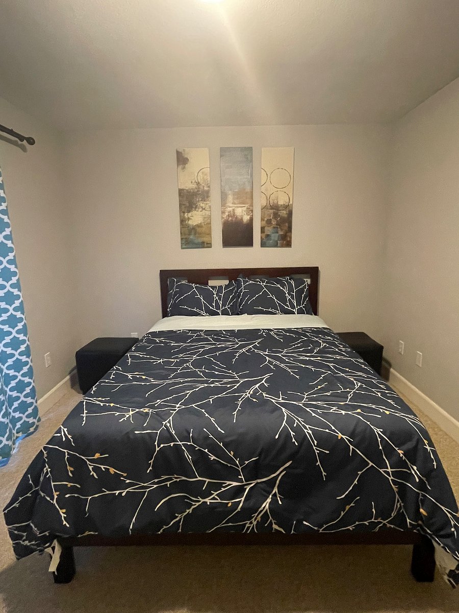 Furnished Finder property 569253_1 photo 5