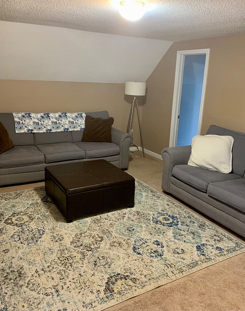 Big living room with comfy couches!