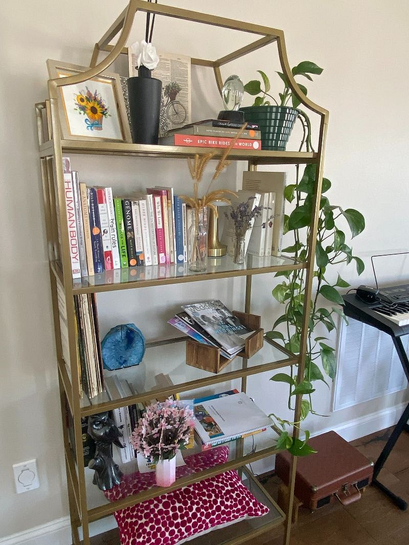 A small bookcase with classics, non-fiction, records, and golden pothos. Feel free to use the record player and keybord.