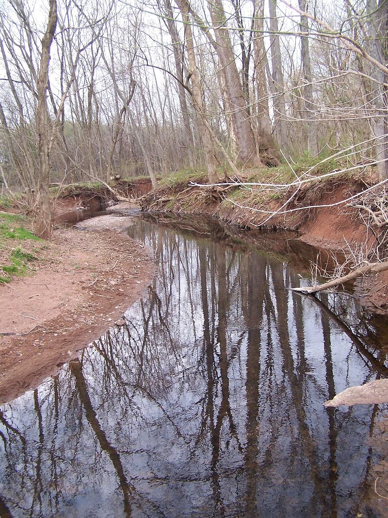 A River runs through it... My dog takes a daily swim in the warmer months.