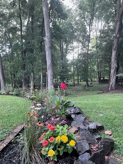 Garden with a View