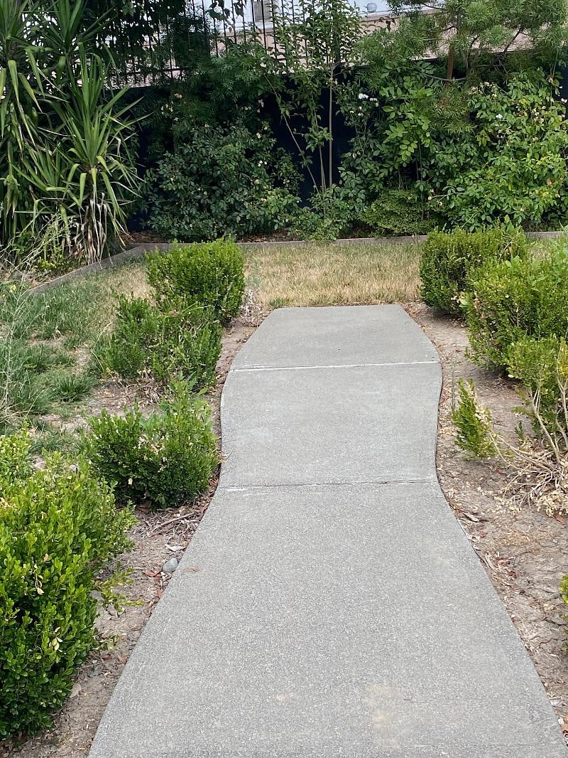 Pathway in backyard