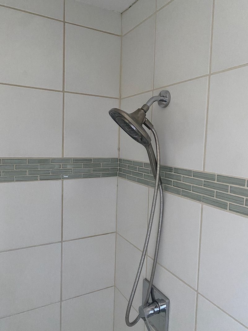Master Bathroom Shower