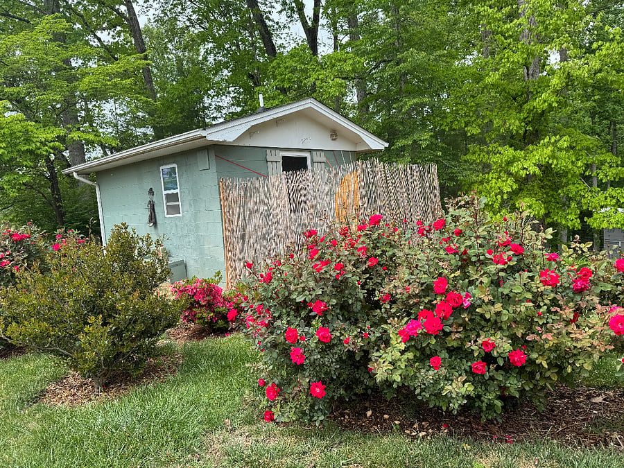 Furnished Finder property 569603_1 photo 19