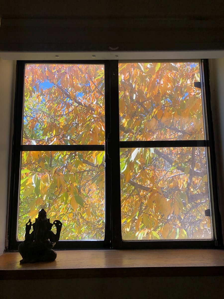 Bathroom window view in the Fall