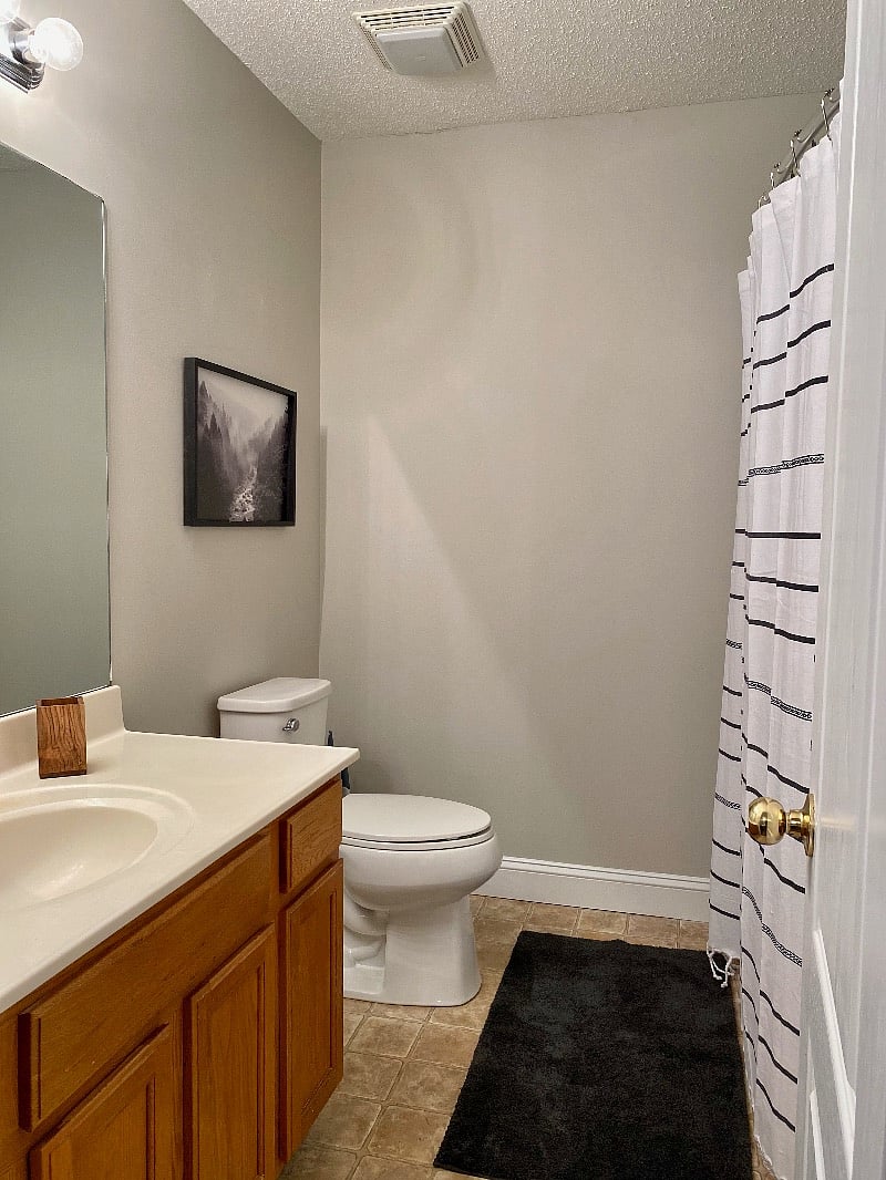 Furnished Finder property 569901_1 photo 13