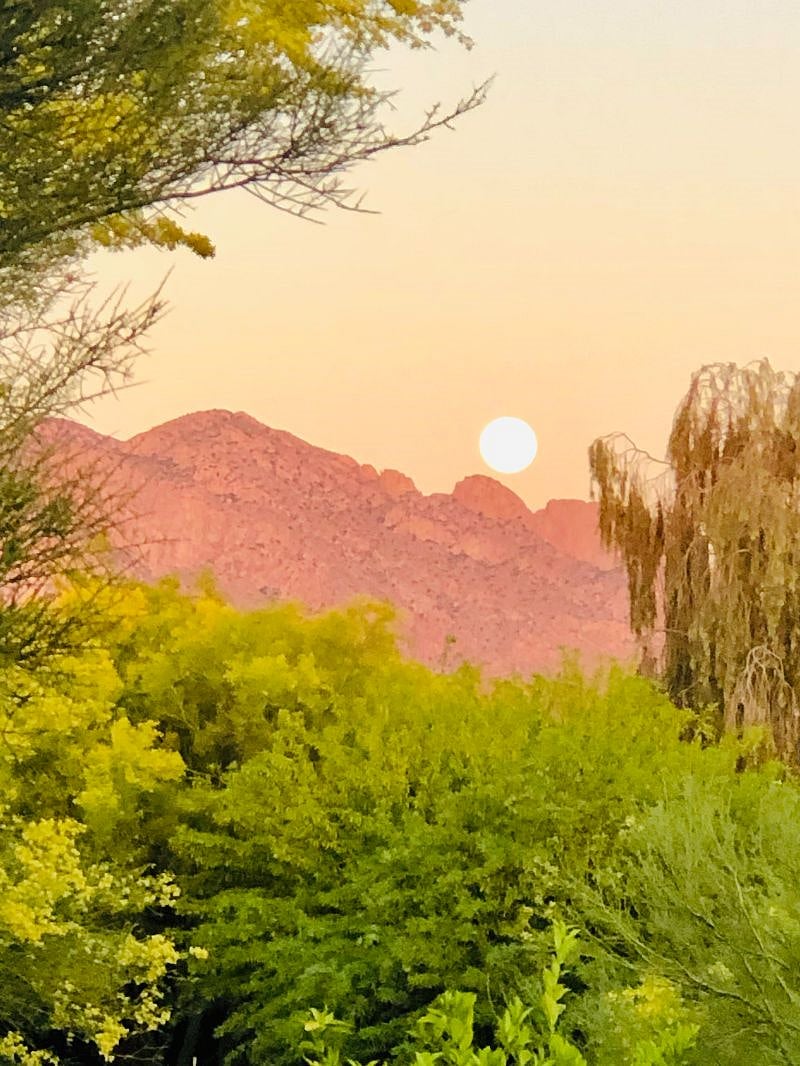 Catalina mountain view from the guest house.