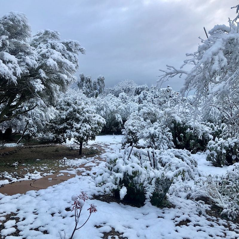 Yes, occasionally we get snow!