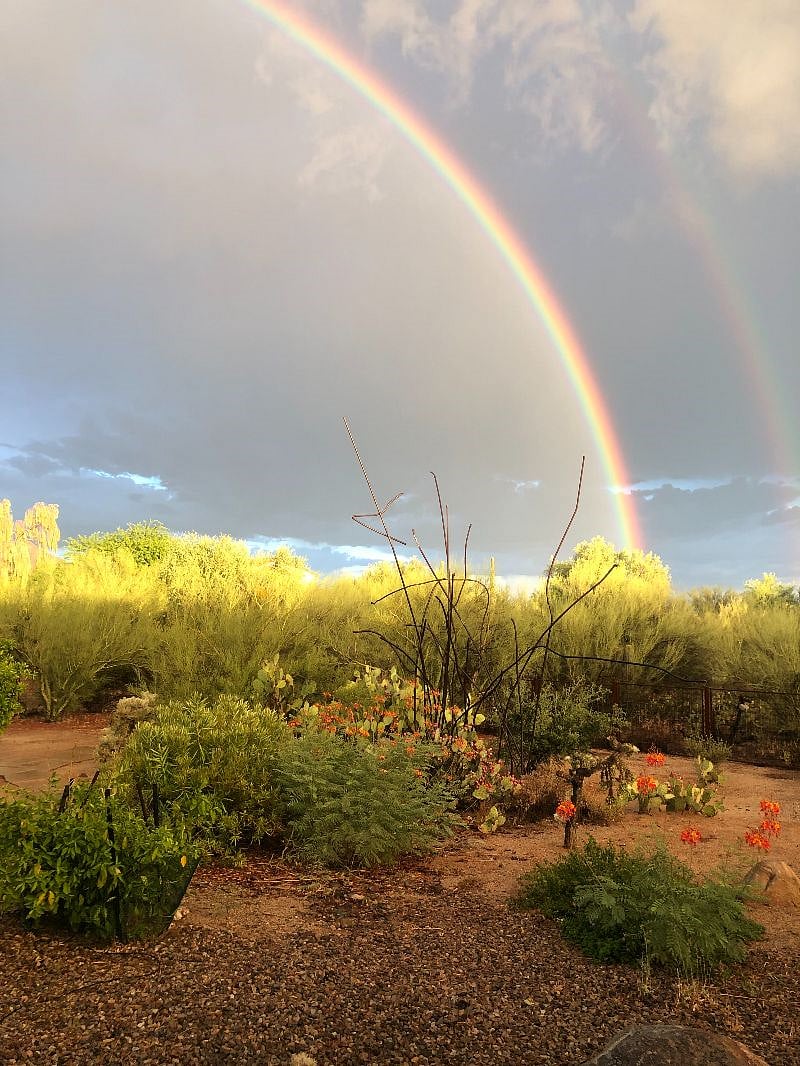 Rainbows are common to see during monsoon weather!