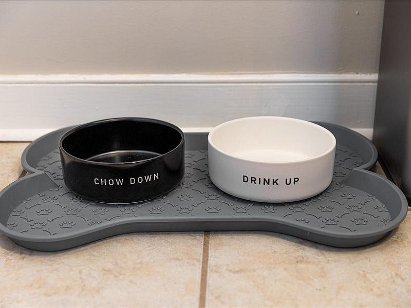 Pet Friendly supplies
