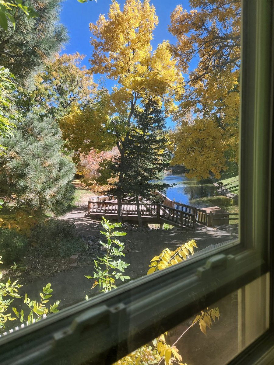 Window view from your room. 