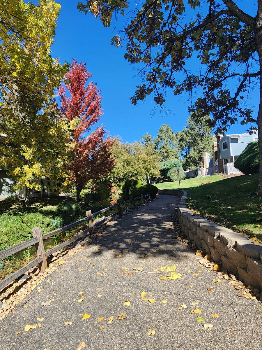Walkway near the pond. 