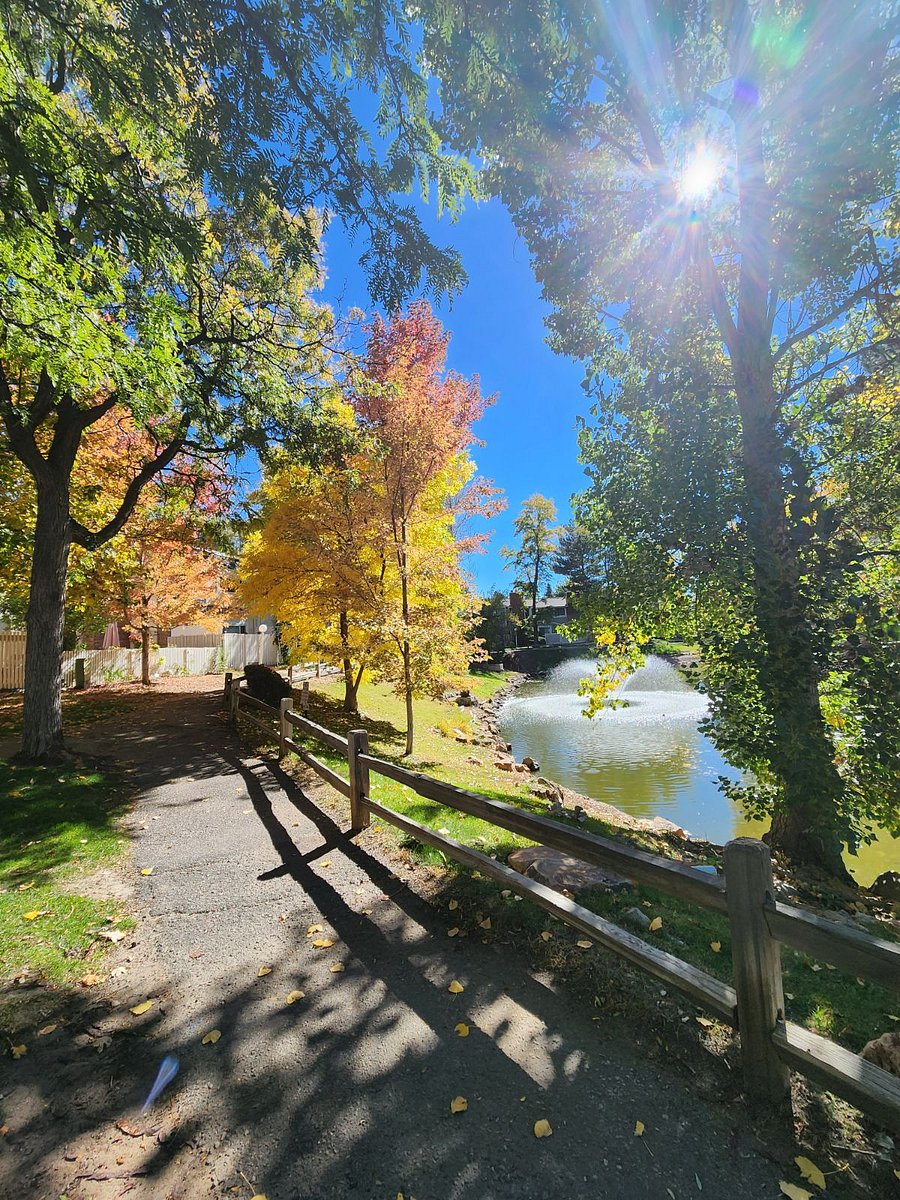 Walkway near the pond. 