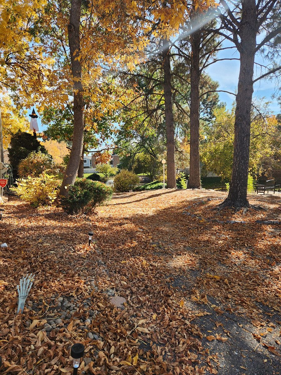 Walkway in the rear of unit. 