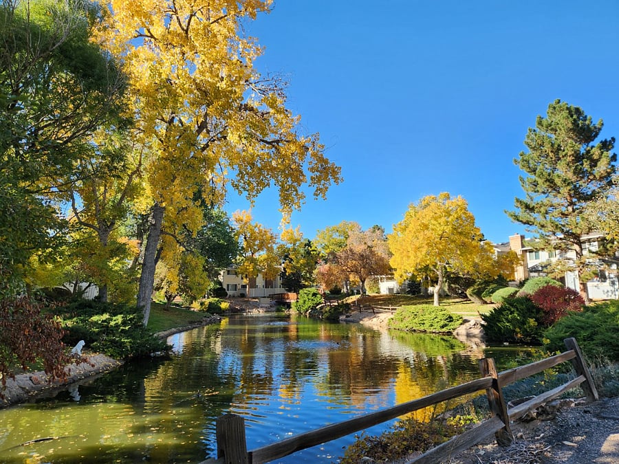 View of the nearby pond. 