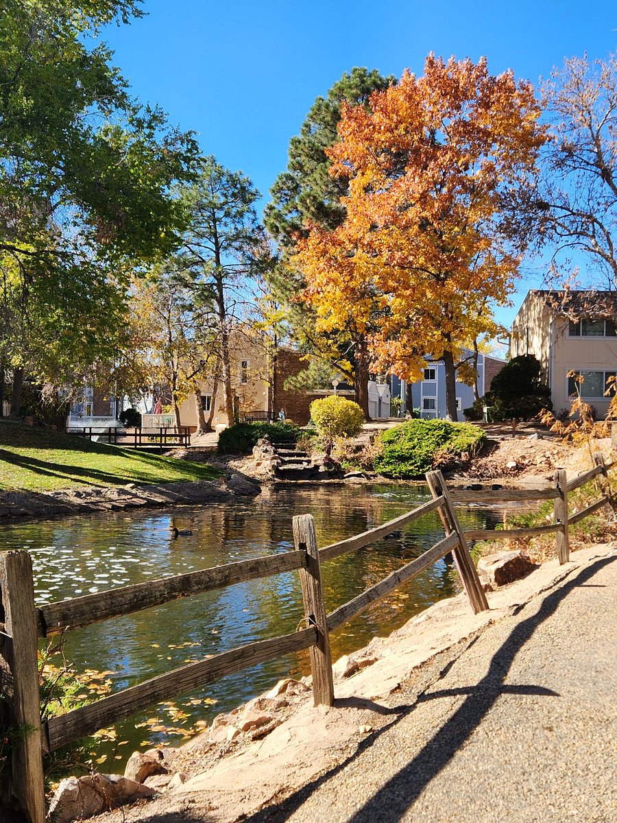 View of the nearby pond. 